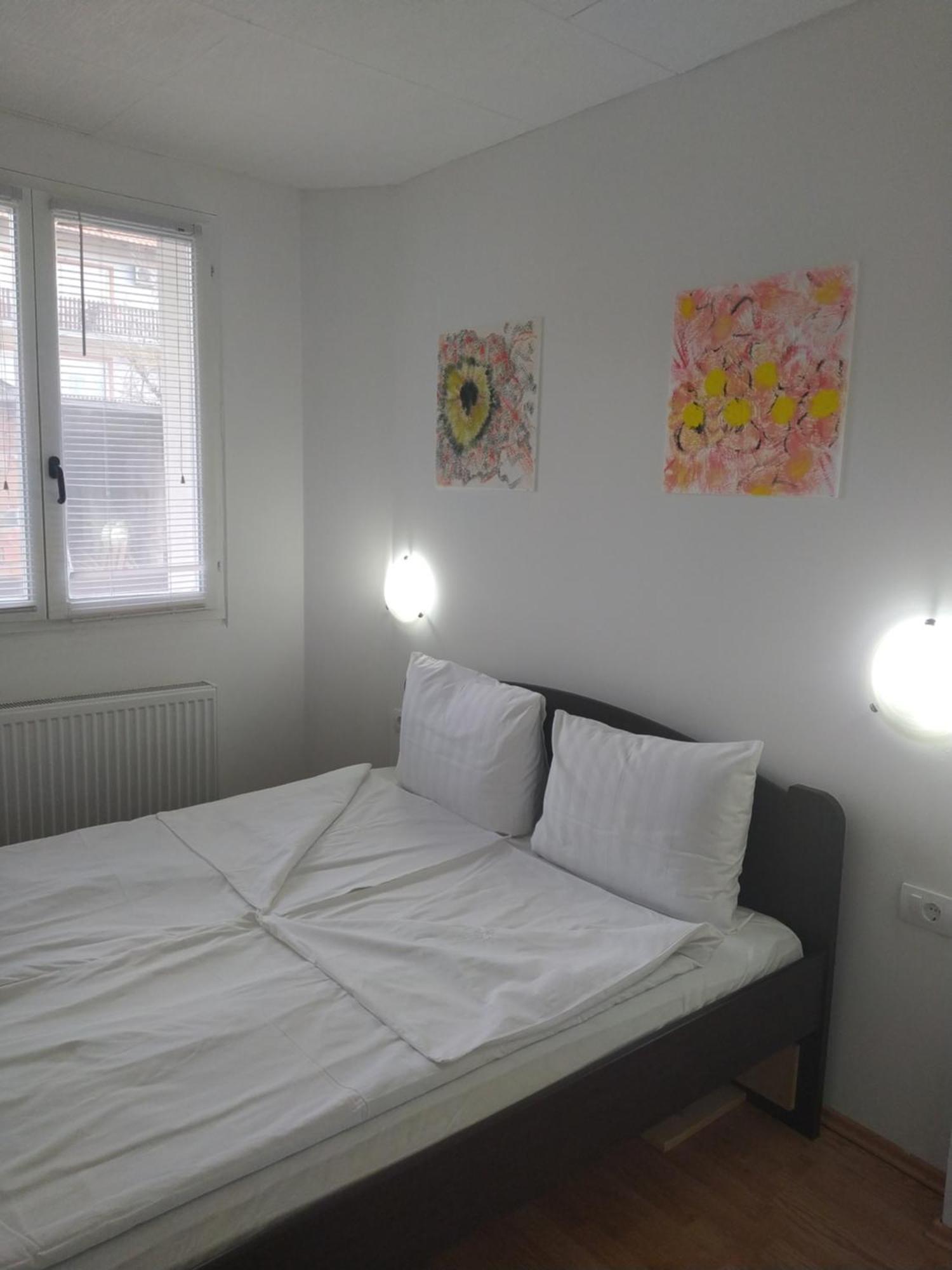 Apartman Linera Soko Banja Rum bild